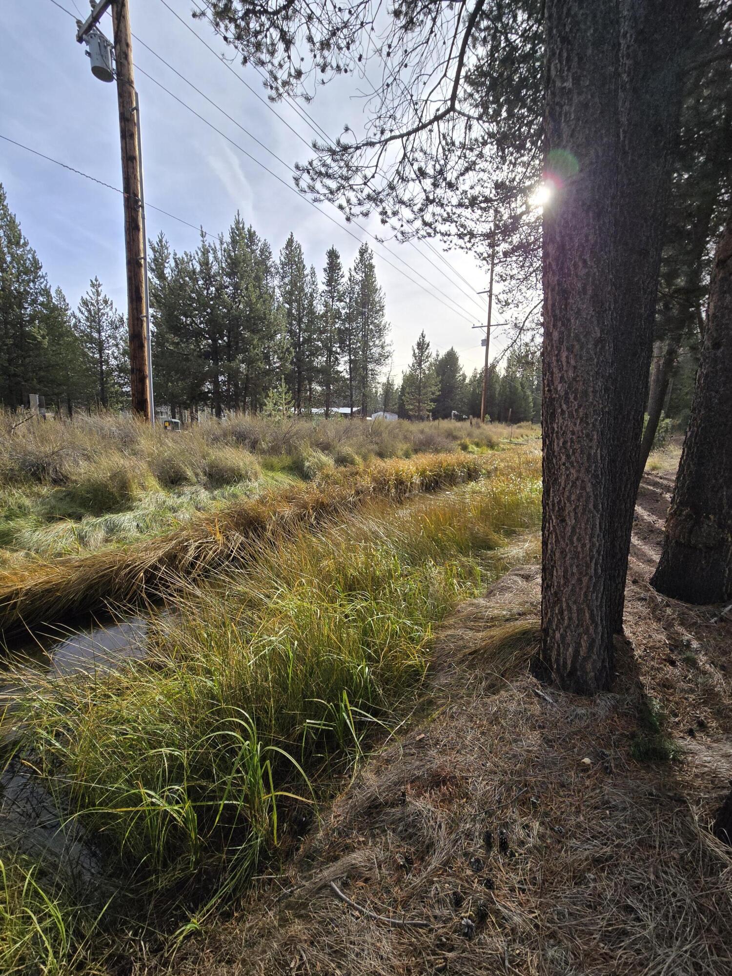 River Pine Estates - Land