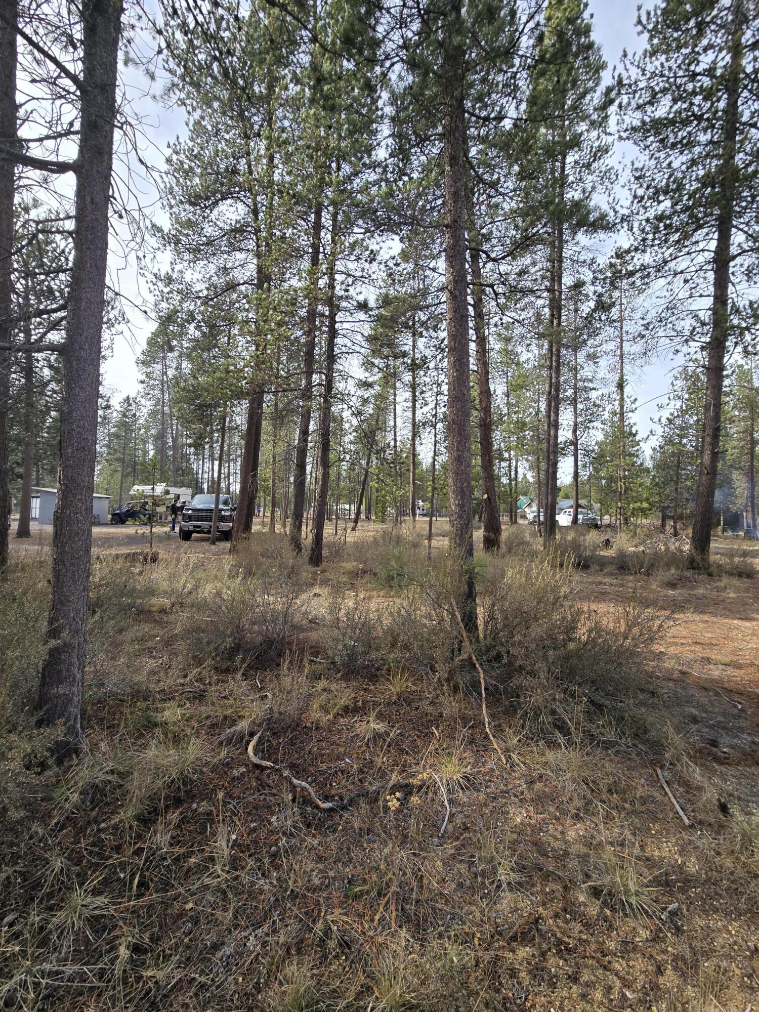 River Pine Estates - Land