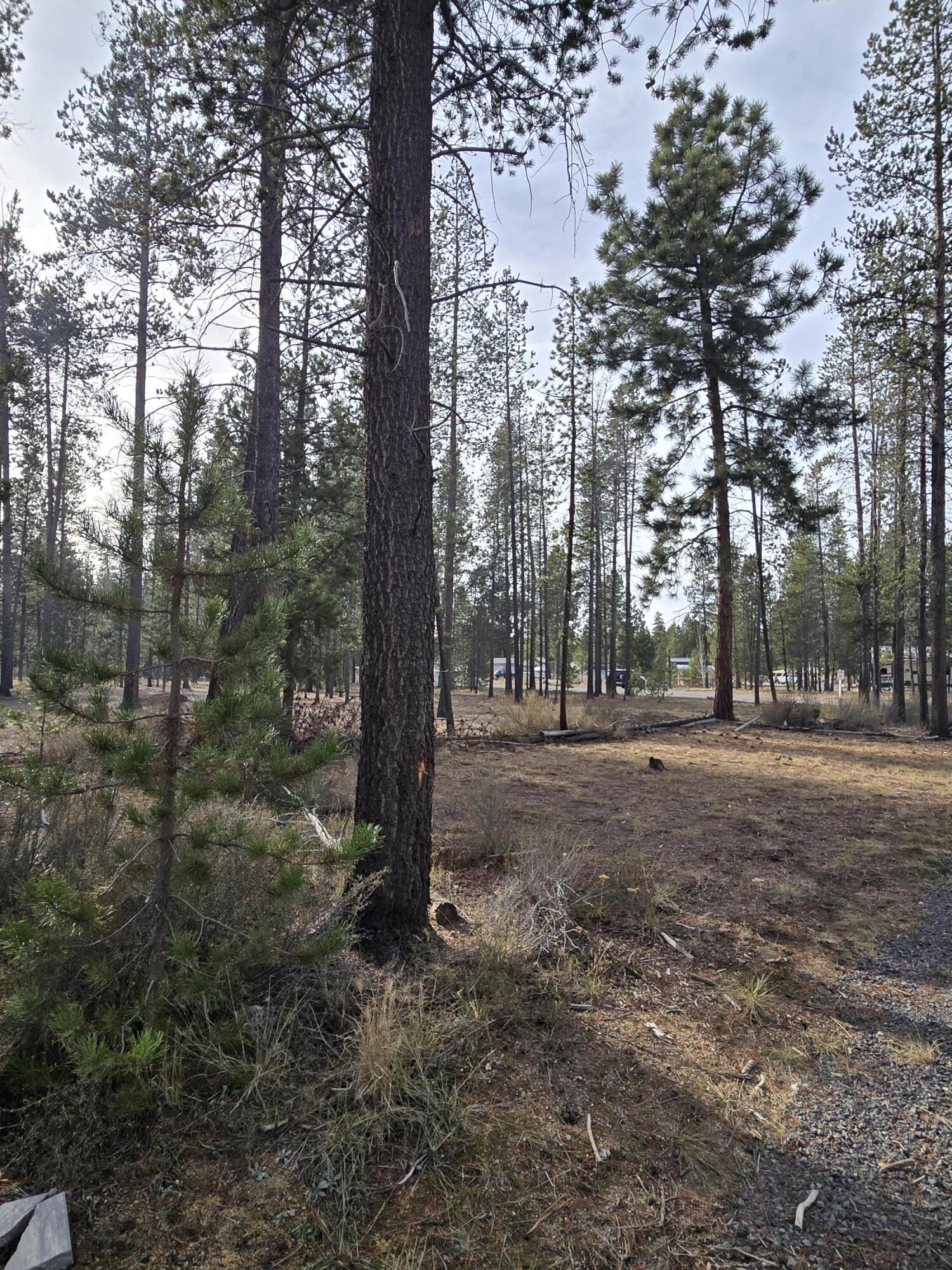 River Pine Estates - Land