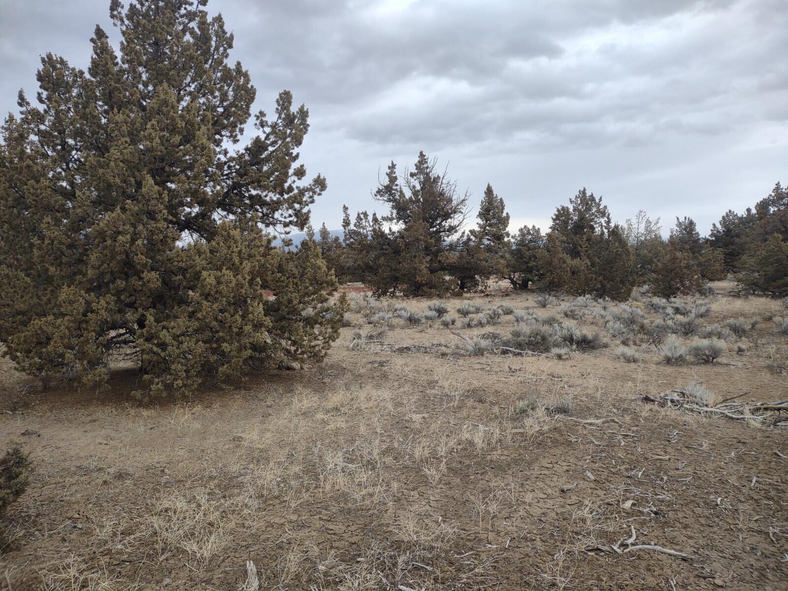 Lake Park Estate - Land