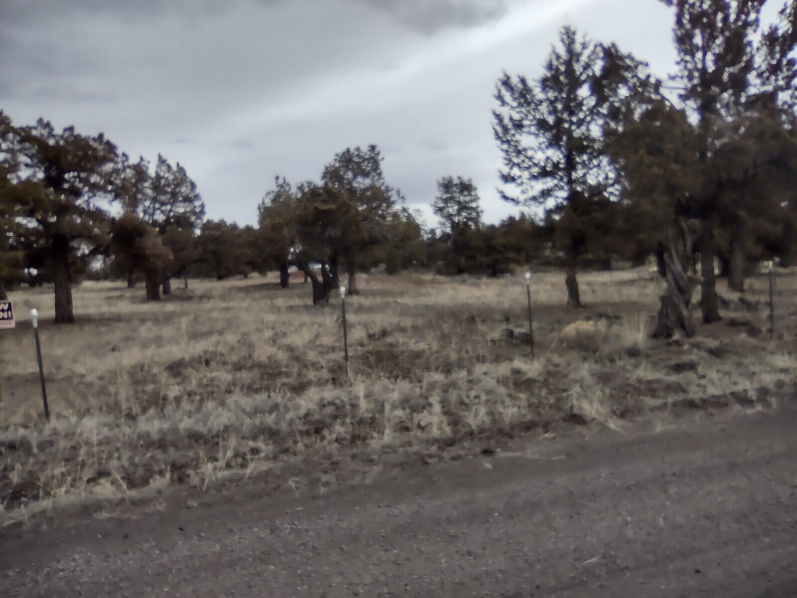 Lake Park Estate - Land