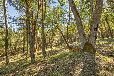 Tiny photo for 145 Lomas Road, Jacksonville, OR 97530 (MLS # 220217428)
