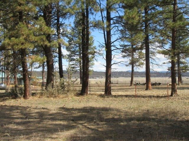 Sprague River - Farm