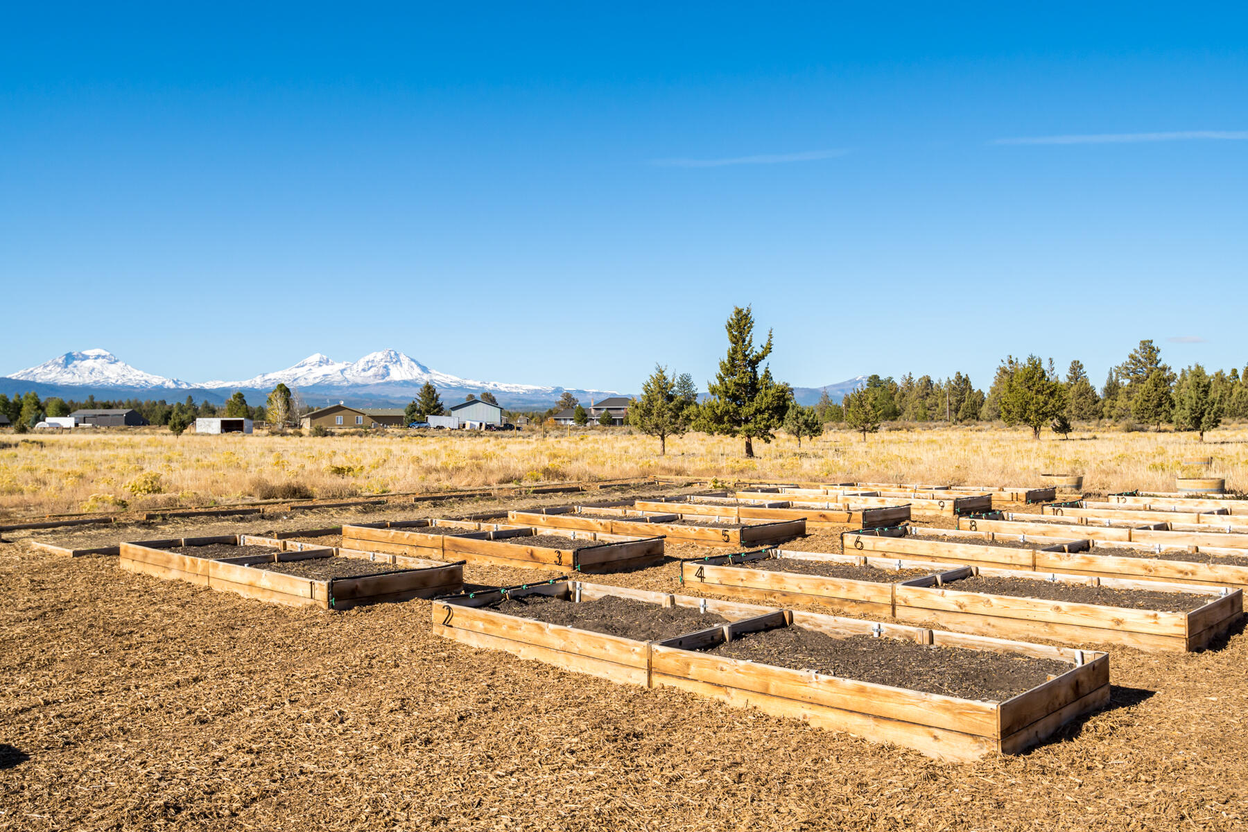 Paladin Ranch - Residential