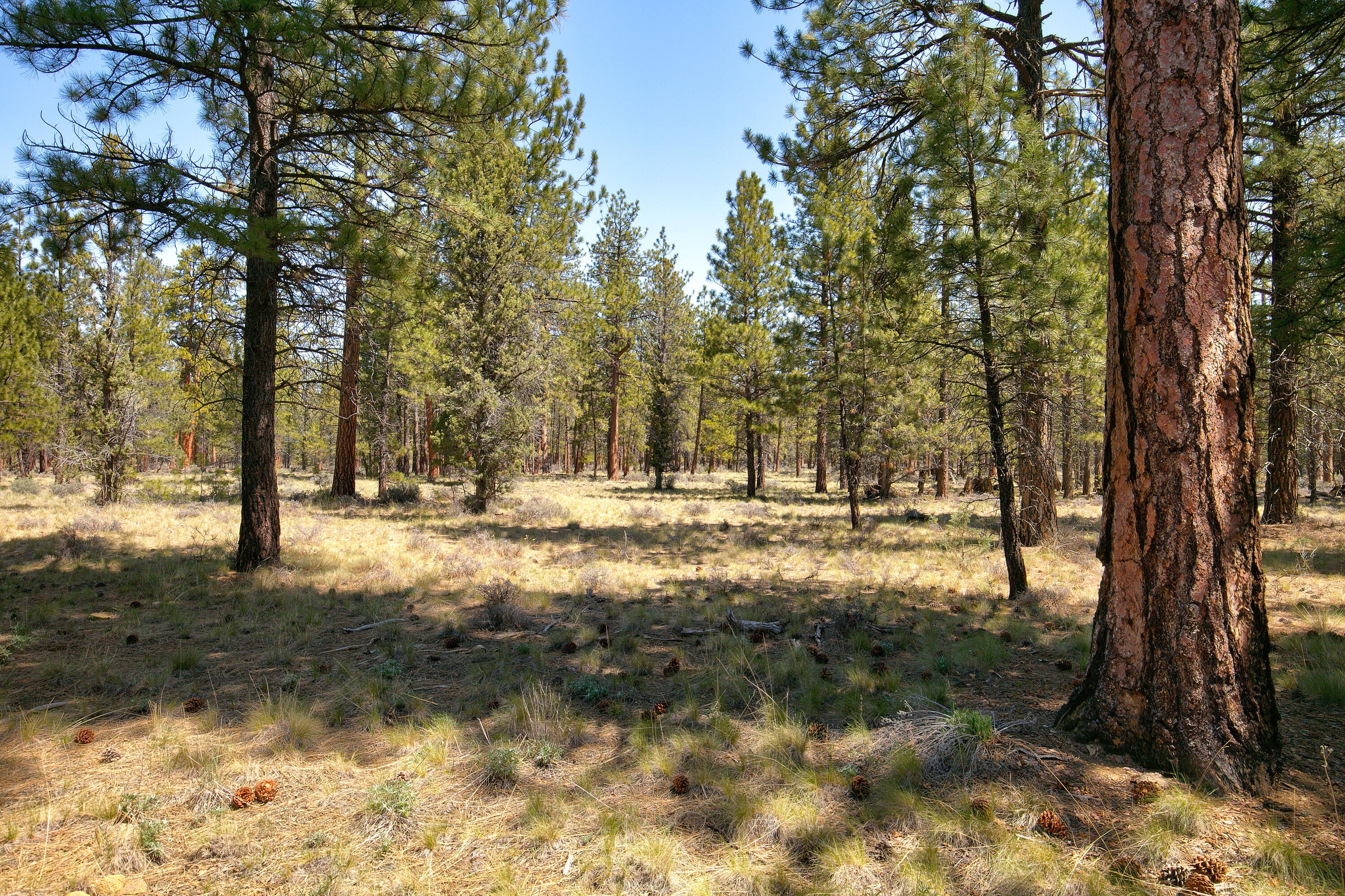 Tollgate - Residential