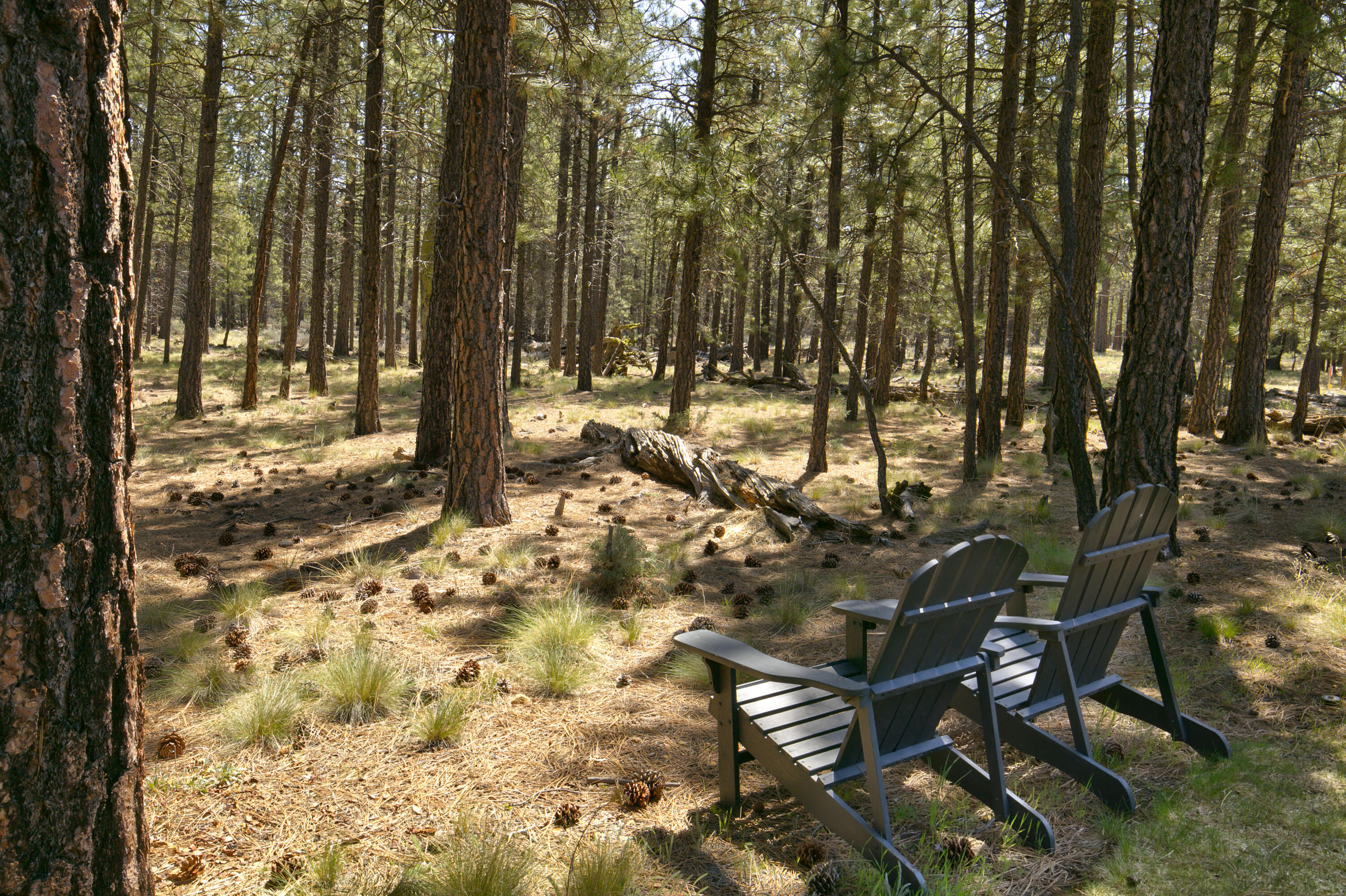 Tollgate - Residential