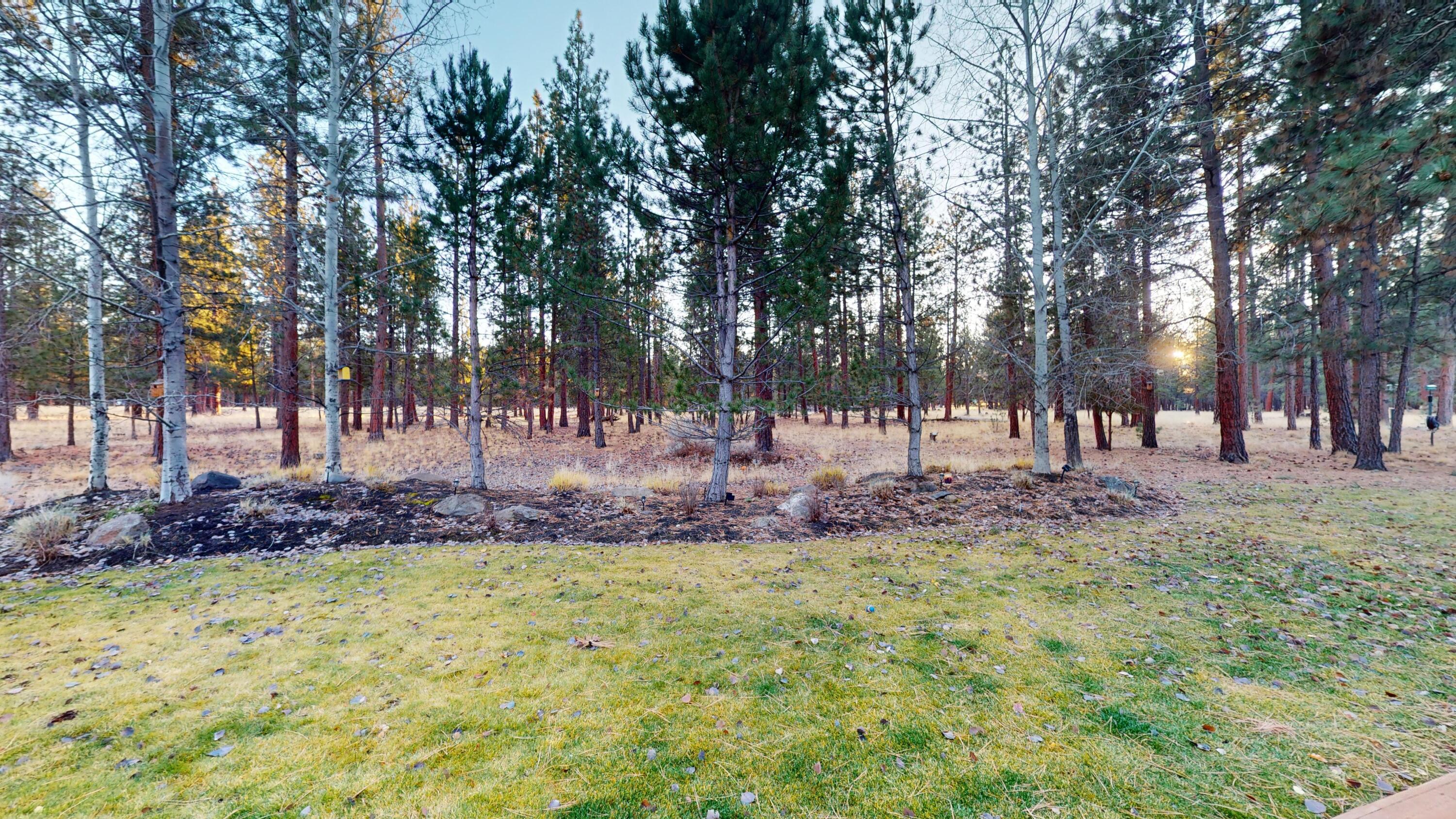 Coyote Springs - Residential