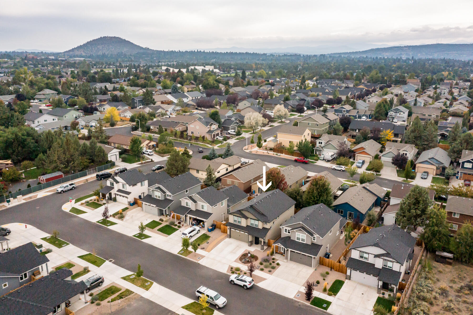 Cranbrook - Residential