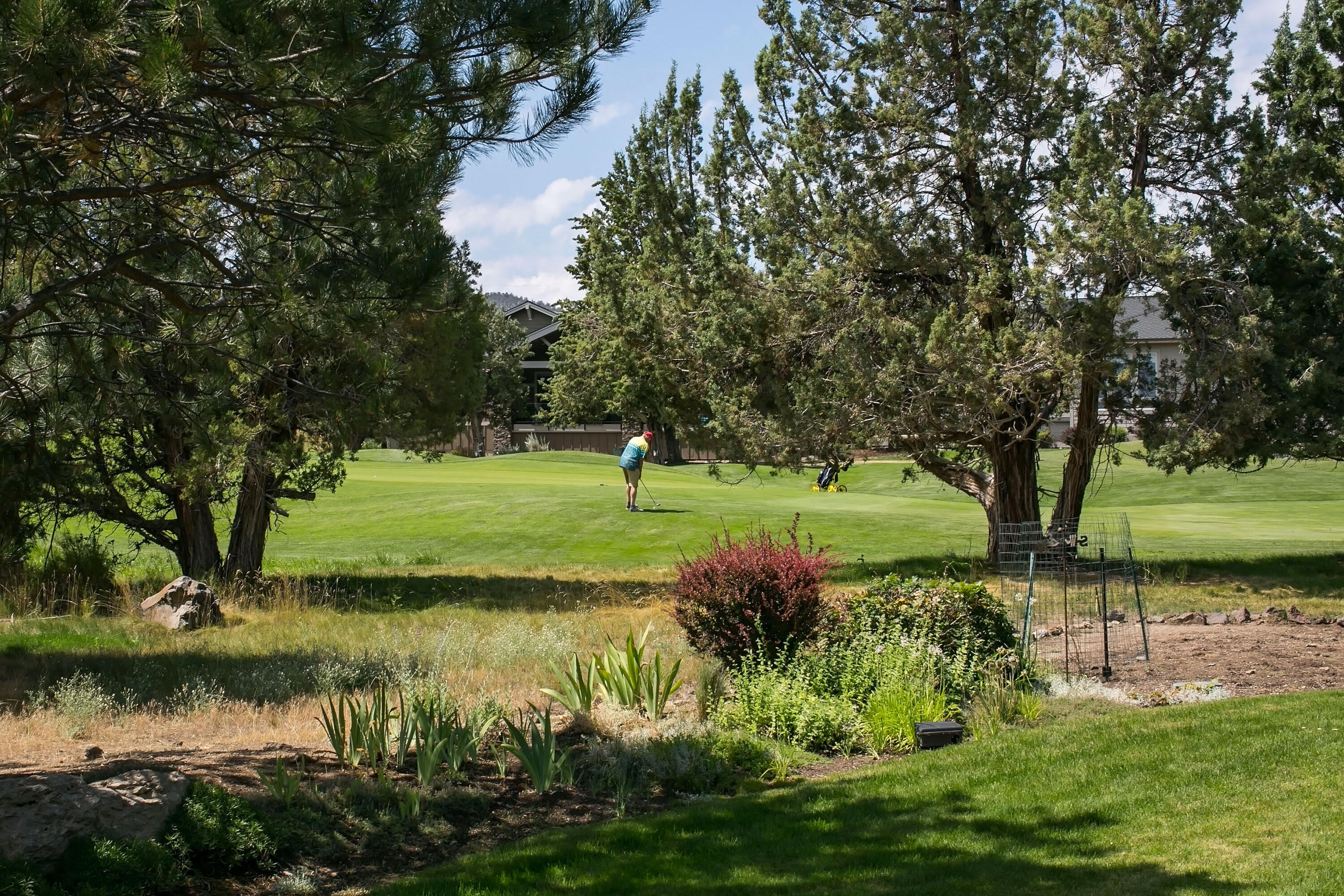 Ridge At Eagle Crest - Residential