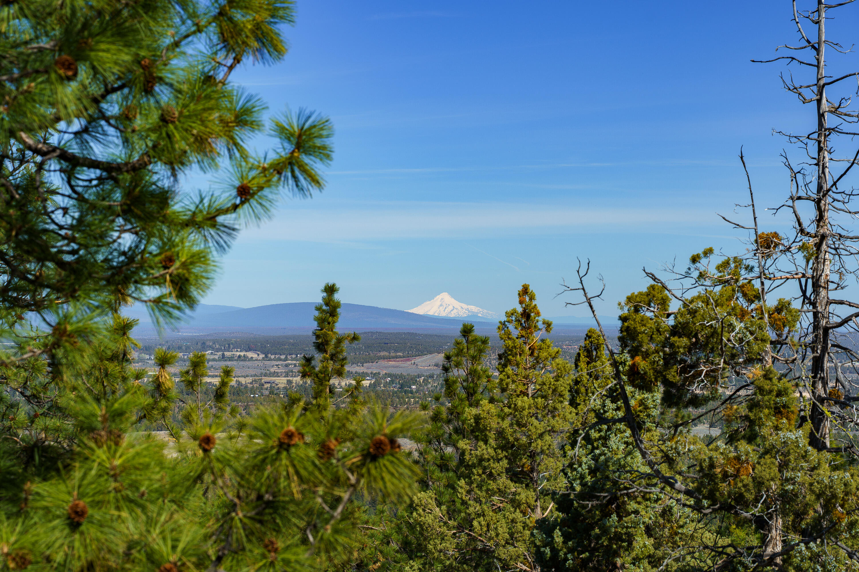 1600 NW Overlook Drive