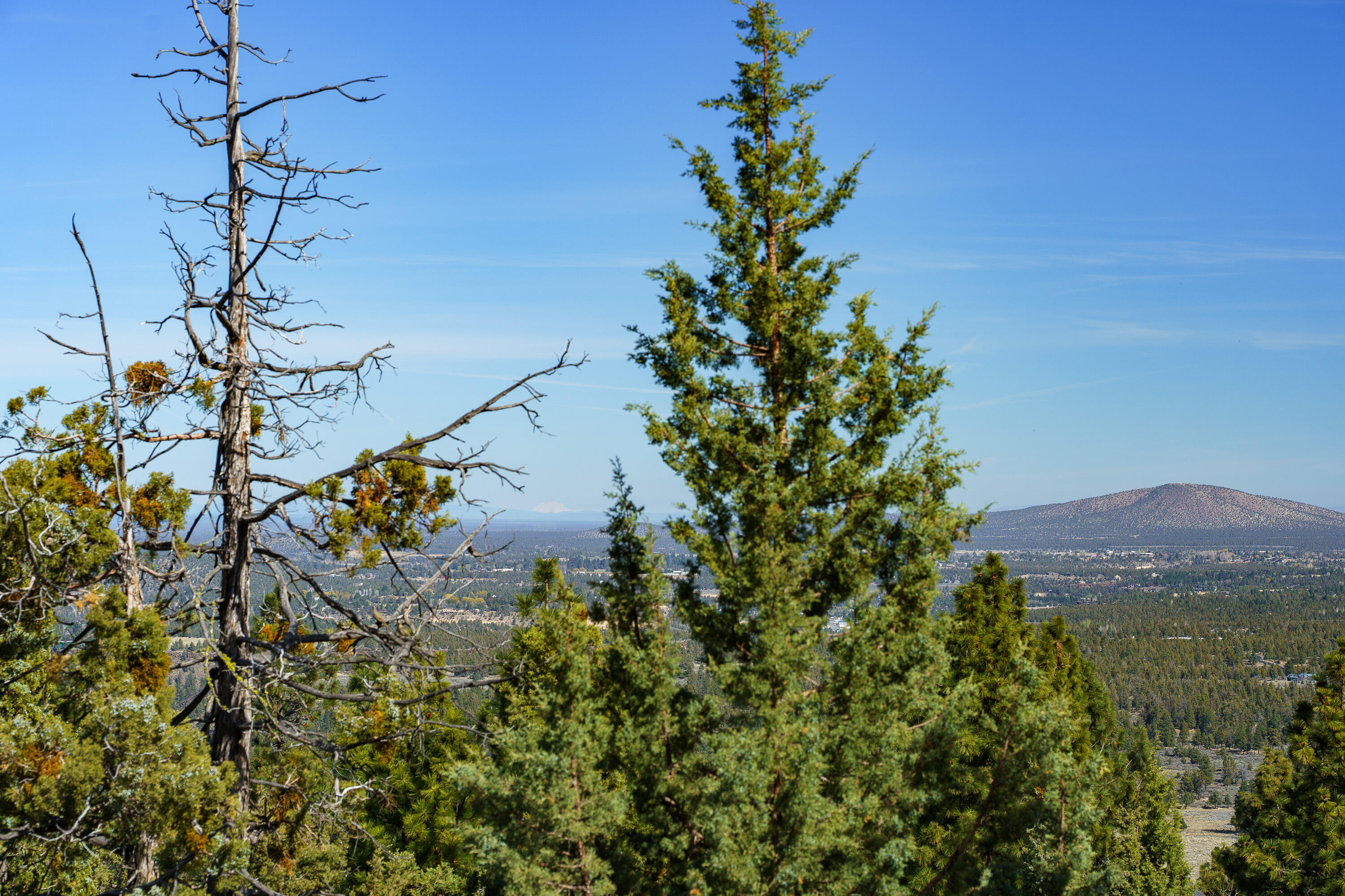 1600 NW Overlook Drive