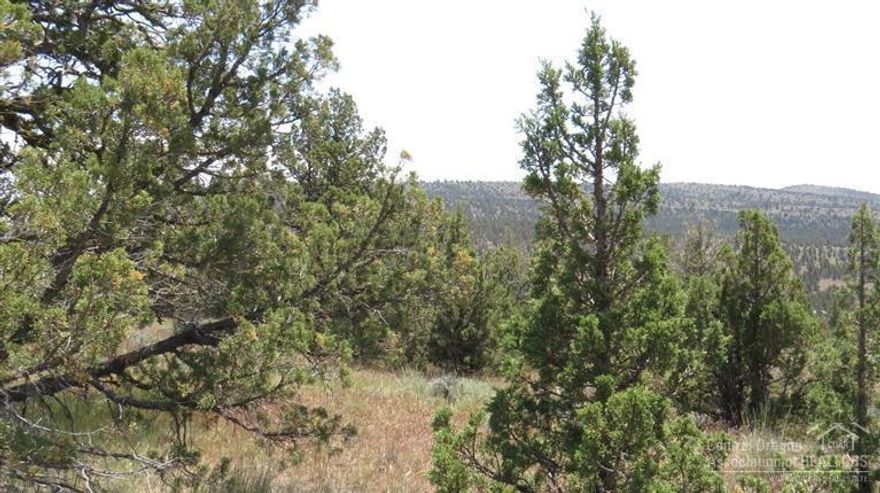 Secluded 13.5 acres with a gorgeous view of the Cascades and foot hills. Some nice home sites, gently sloping, large Junipers. End of road solace which backs up to BLM land. Power close by and partially fenced. Don't delay, this one is ideal and priced right.