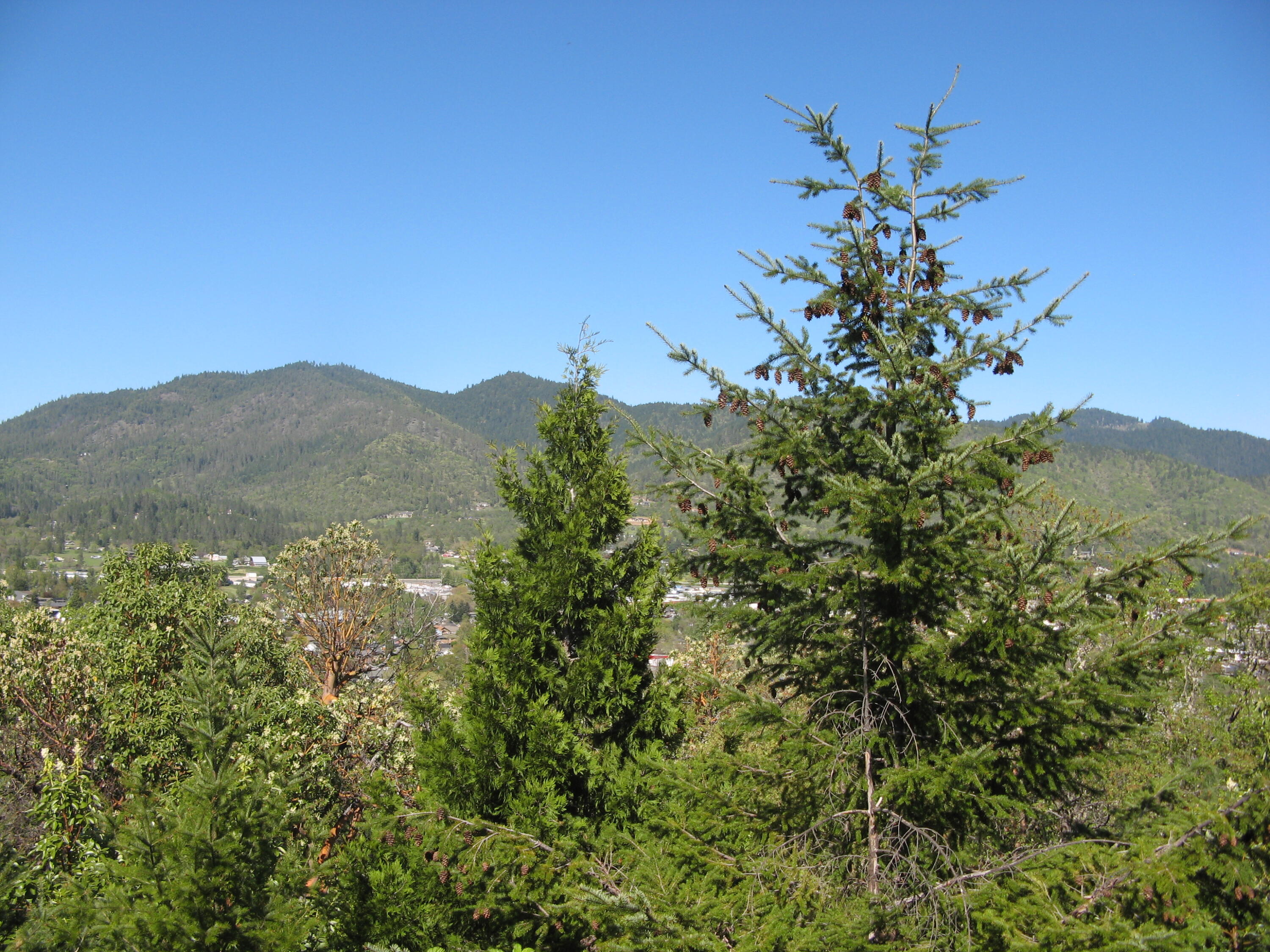 Laurelridge Subdivision - Land