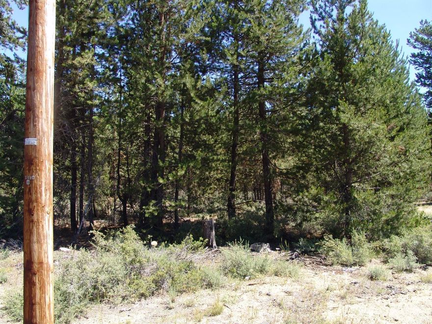 Check out this Builders Special! Ready for your Stick Built Home! 2 Acres with Well already drilled & Capped. ATT Septic System approved! Side By Side Lots Available (2 acres each) ! Close to All Central Oregon has to offer! Hiking, Biking, Boating, Skiing and Much More! Close to La Pine State Recreation Park, 15 Minutes to Sunriver and 30 Minutes to Bend!