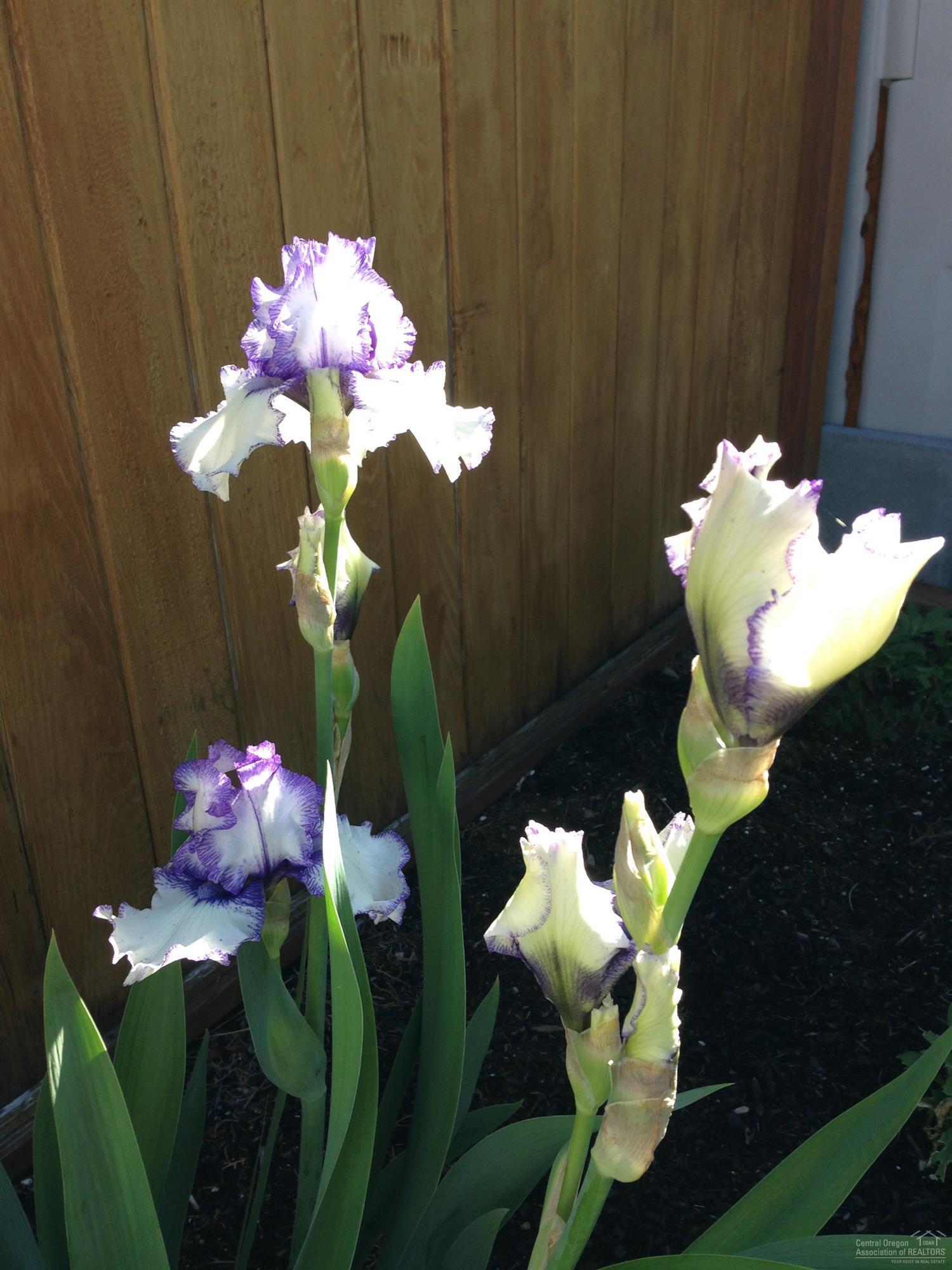 Rock Arbor Villa - Residential