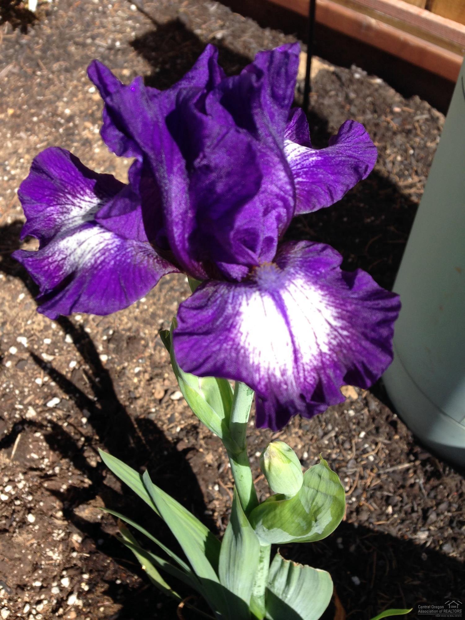 Rock Arbor Villa - Residential