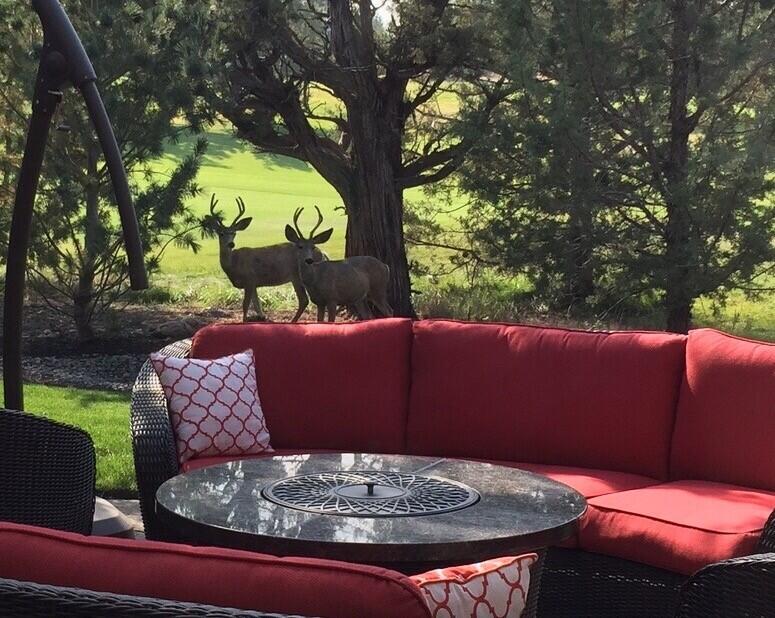 Ridge At Eagle Crest - Residential