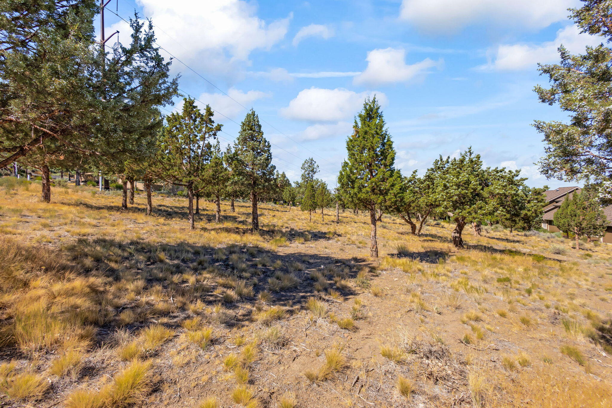 823 Highland View Loop
