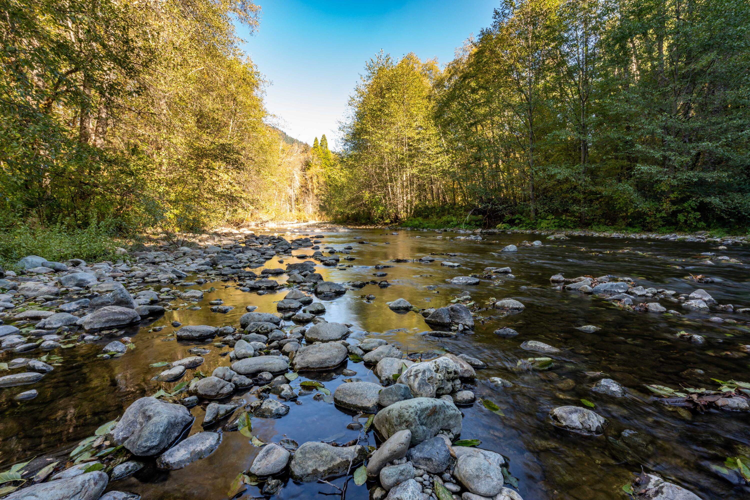 N/A - Commercial Sale