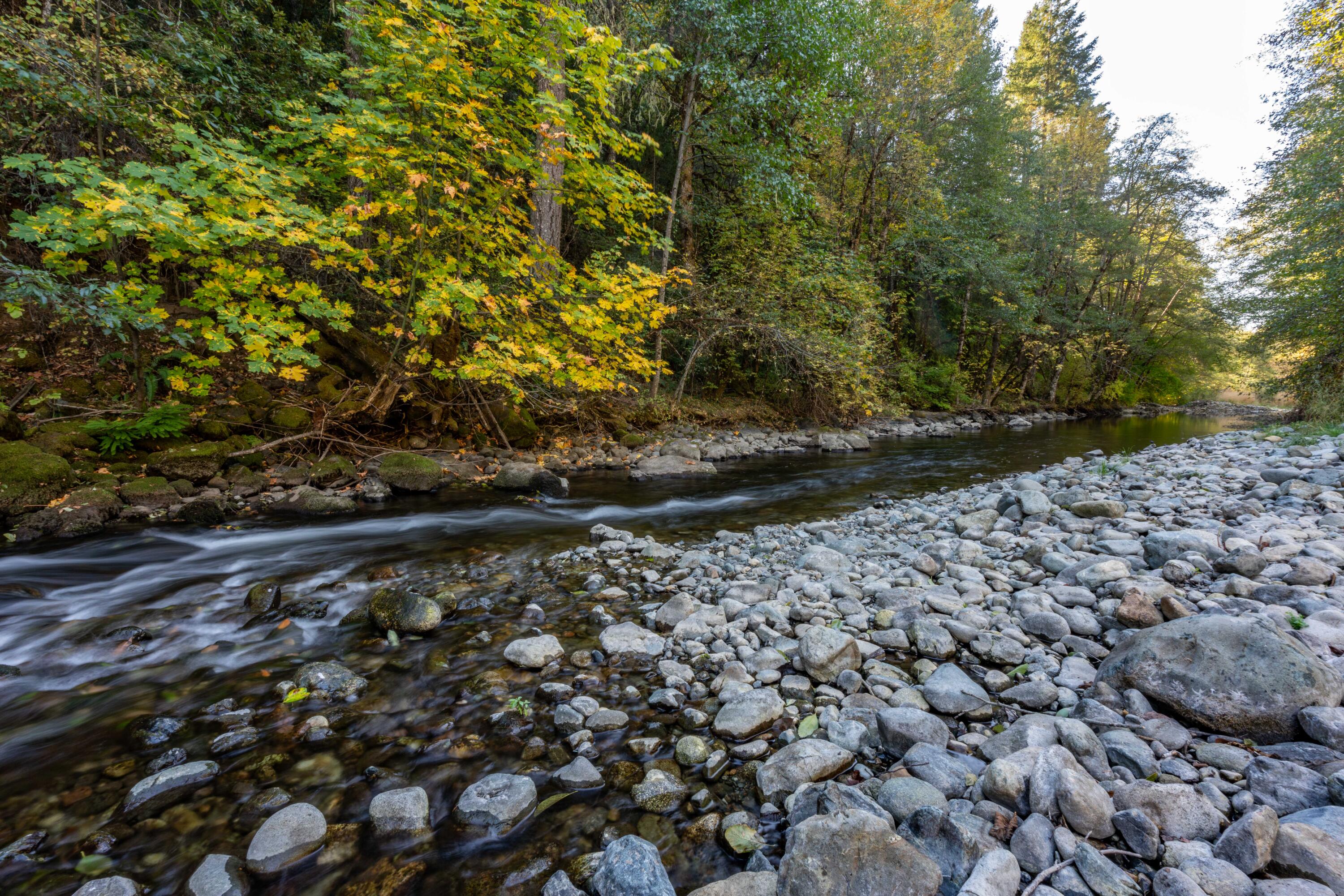 N/A - Commercial Sale