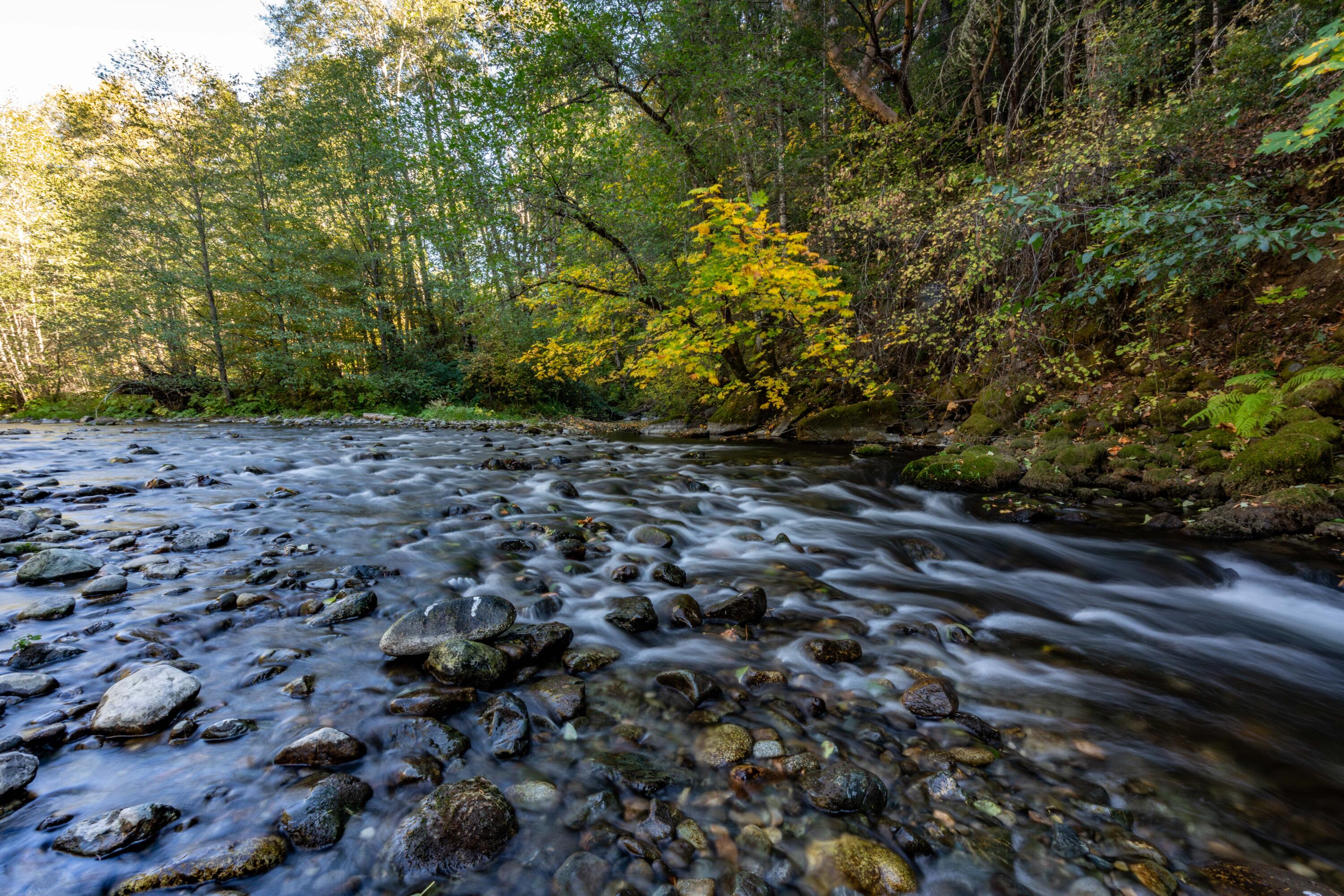 N/A - Commercial Sale