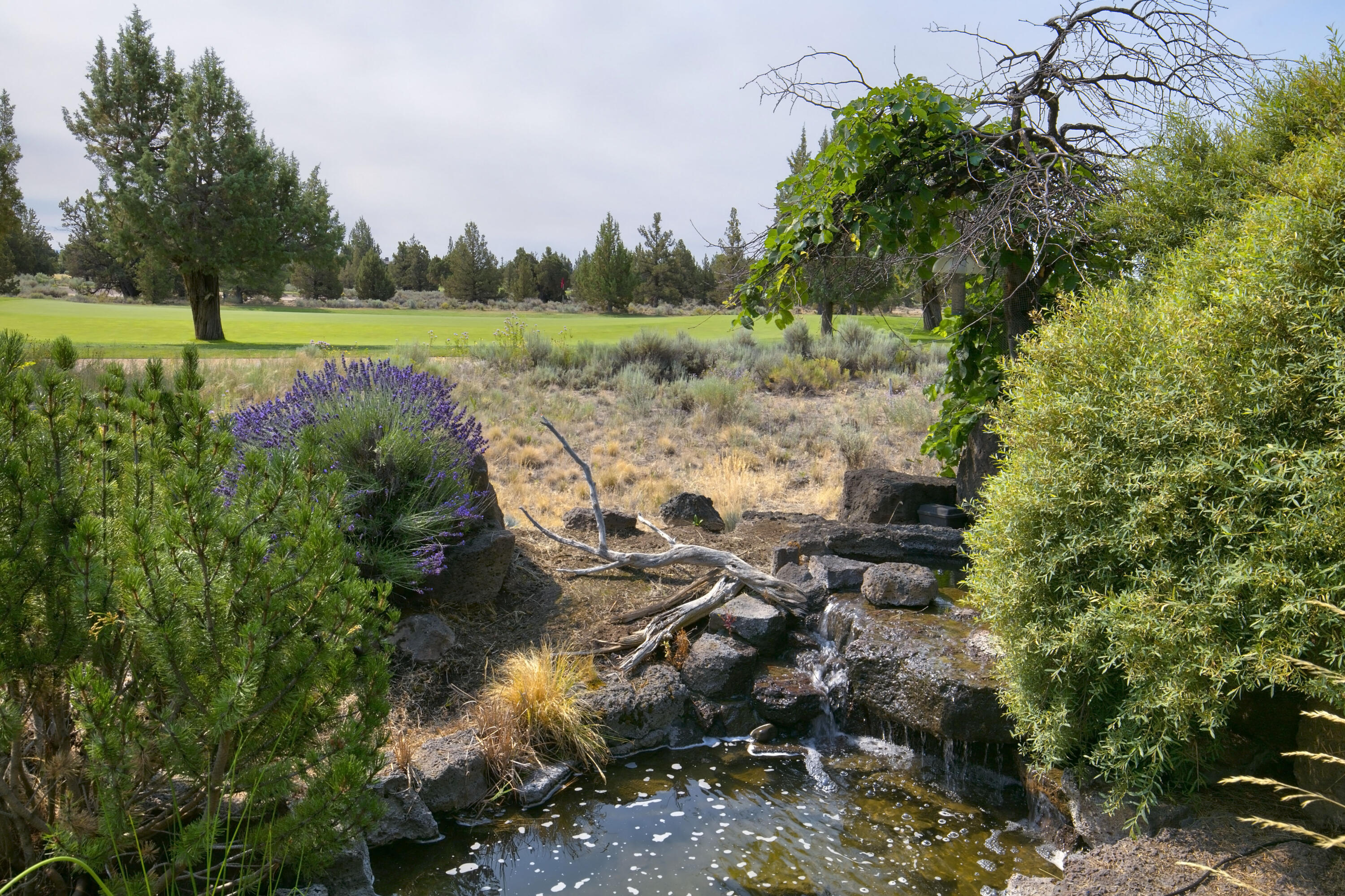 Pronghorn - Residential