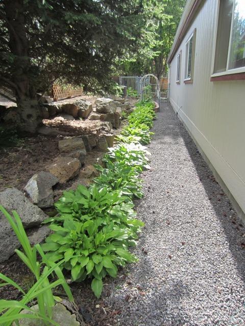 Juniper Creek - Residential