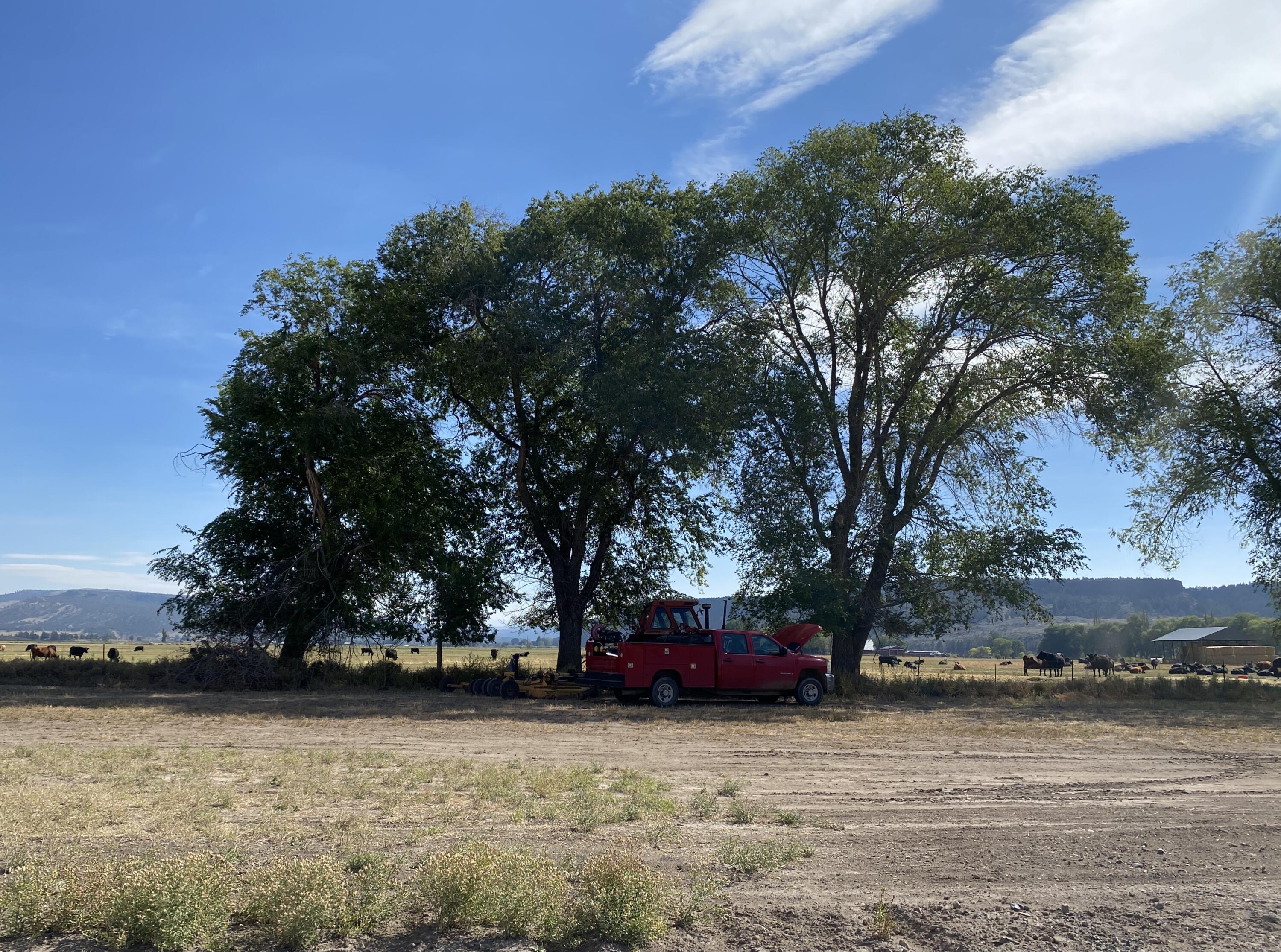 Crystal Springs - Land