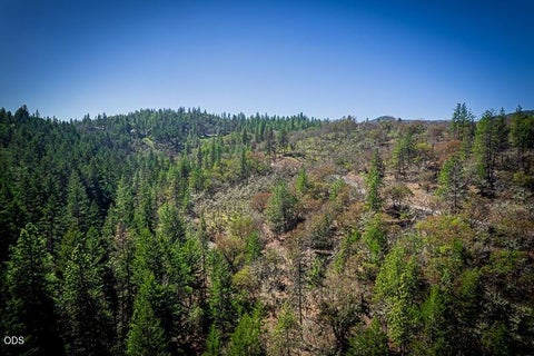 Tiny photo for 250 Oak Knoll, Jacksonville, OR 97530 (MLS # 220223536)