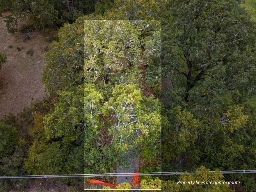 Come see this rare 0.17 acres with Corliss Creek meandering by! NO HOA! This would be an
excellent recreational parcel! Make this property yours! The property previously had a home on
it, but it was recently removed. There are 2 wells on the property. Lovely property that is close to
town with a rural feel. Enjoy a quiet & serene setting and enjoy all the beauty Southern Oregon
has to offer. Call for your tour today!