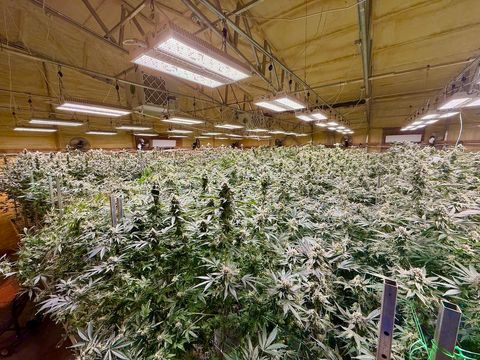 Tiny photo for 1344 Thompson Creek Road, Selma, OR 97538 (MLS # 220213549)