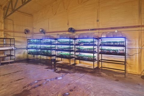 Tiny photo for 1344 Thompson Creek Road, Selma, OR 97538 (MLS # 220213549)