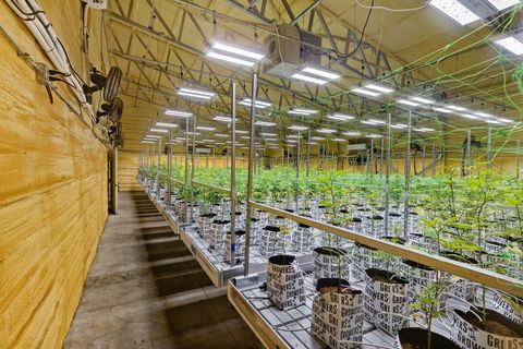 Tiny photo for 1344 Thompson Creek Road, Selma, OR 97538 (MLS # 220213549)