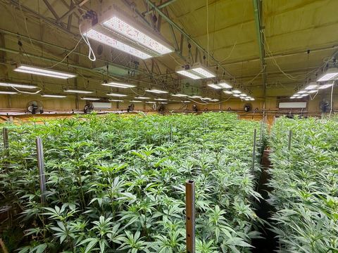 Tiny photo for 1344 Thompson Creek Road, Selma, OR 97538 (MLS # 220213549)