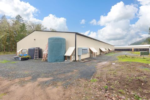 Tiny photo for 1344 Thompson Creek Road, Selma, OR 97538 (MLS # 220213549)