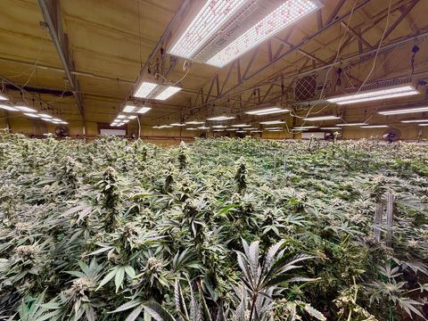 Tiny photo for 1344 Thompson Creek Road, Selma, OR 97538 (MLS # 220213549)