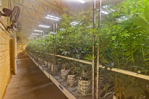 Tiny photo for 1344 Thompson Creek Road, Selma, OR 97538 (MLS # 220213549)