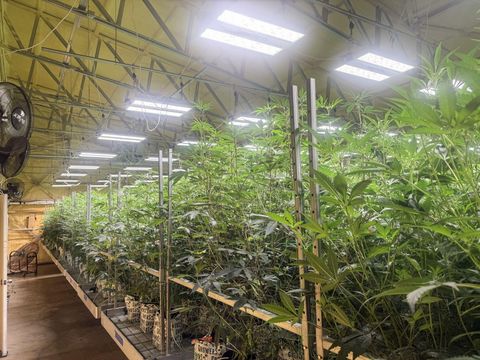 Tiny photo for 1344 Thompson Creek Road, Selma, OR 97538 (MLS # 220213549)