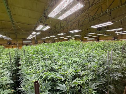 Tiny photo for 1344 Thompson Creek Road, Selma, OR 97538 (MLS # 220213549)