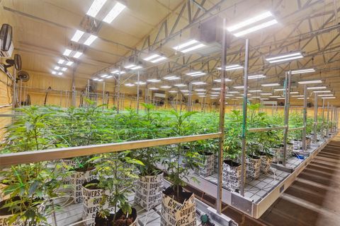 Tiny photo for 1344 Thompson Creek Road, Selma, OR 97538 (MLS # 220213549)