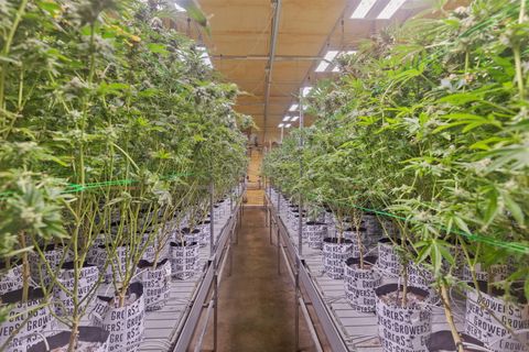 Tiny photo for 1344 Thompson Creek Road, Selma, OR 97538 (MLS # 220213549)