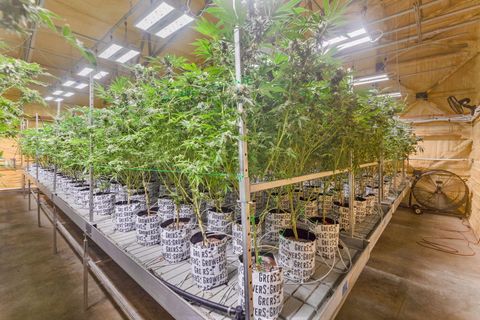 Tiny photo for 1344 Thompson Creek Road, Selma, OR 97538 (MLS # 220213549)