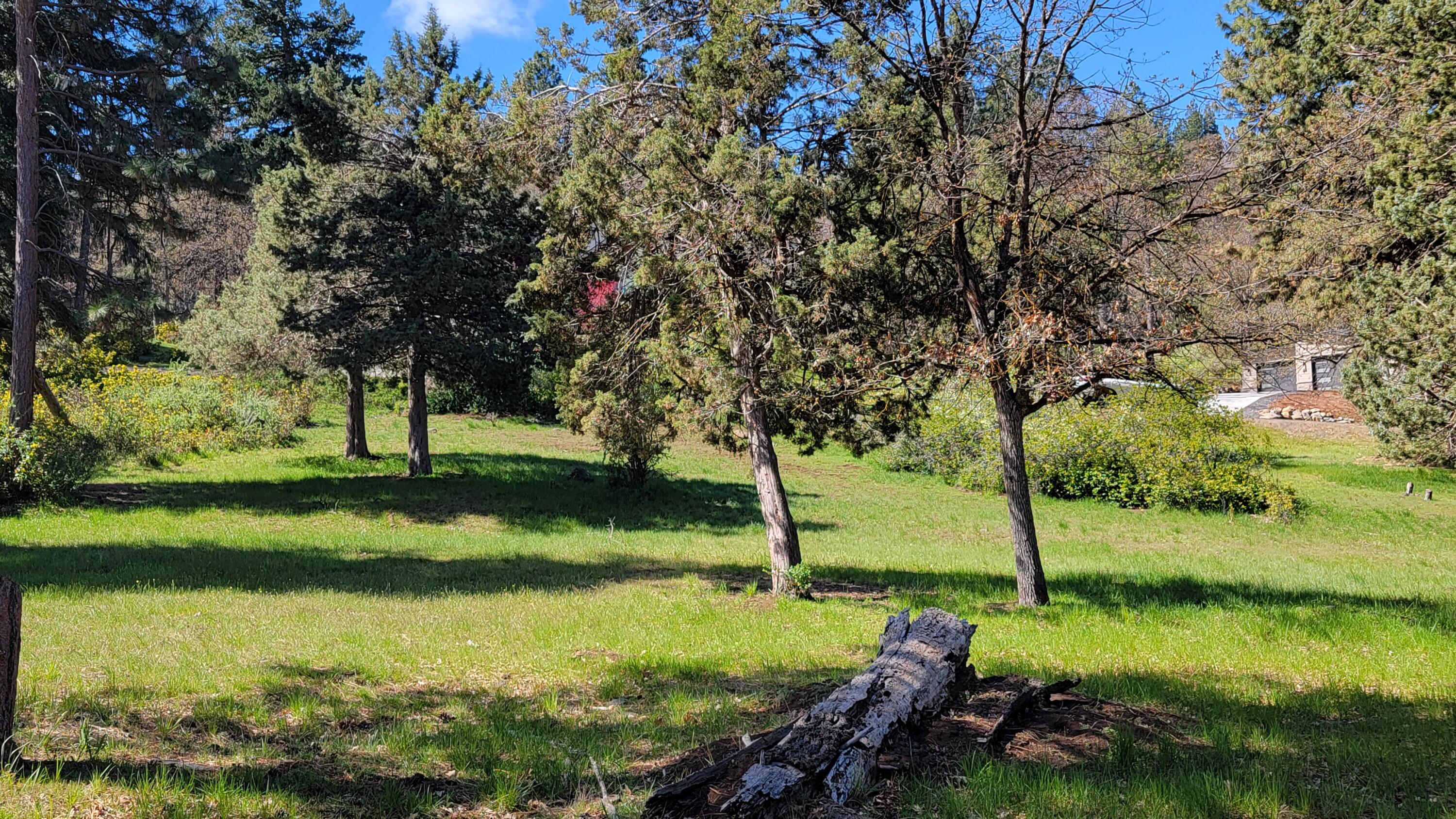 0 Redstart Road Lot 917