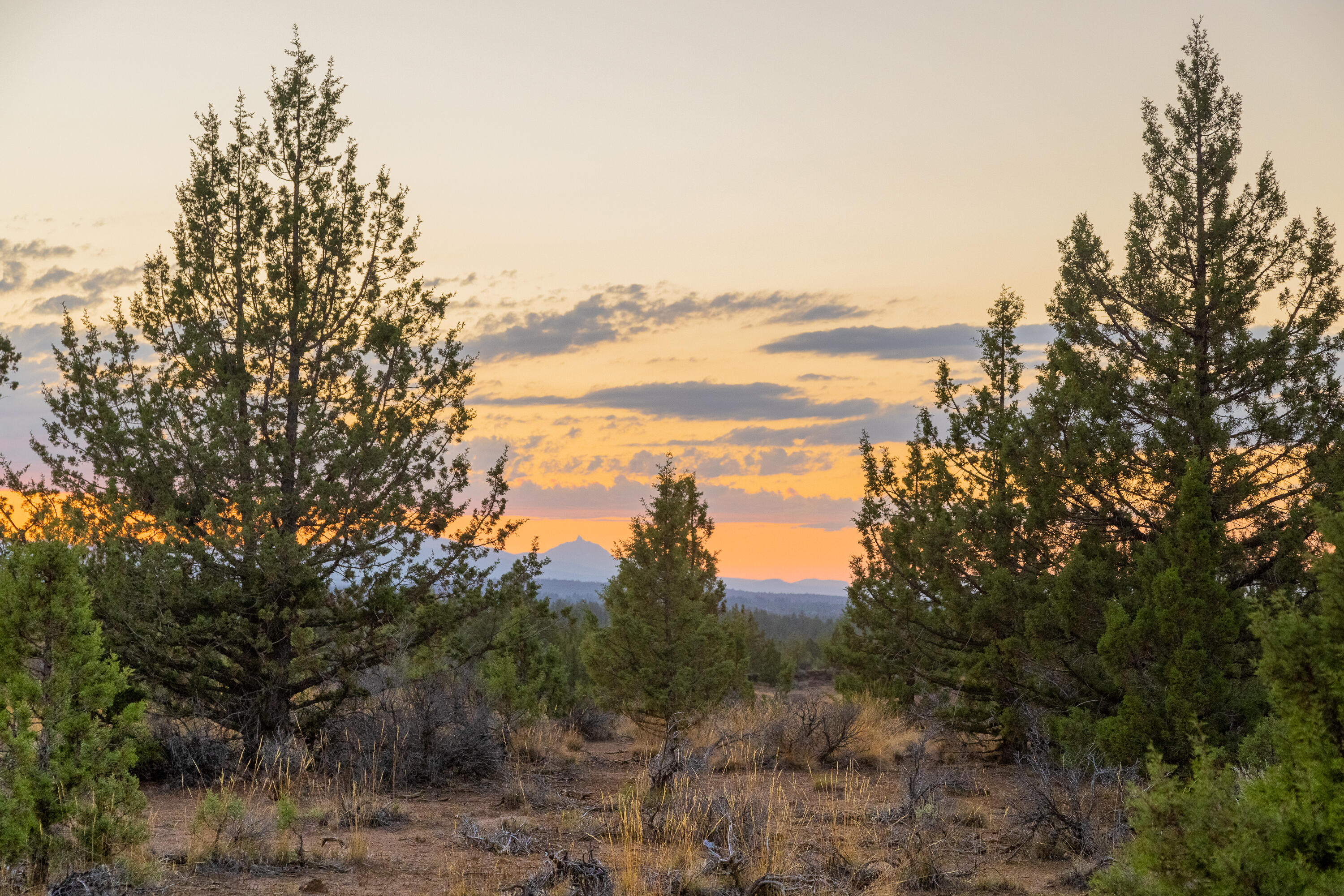 Pacific Cascade Hts - Land