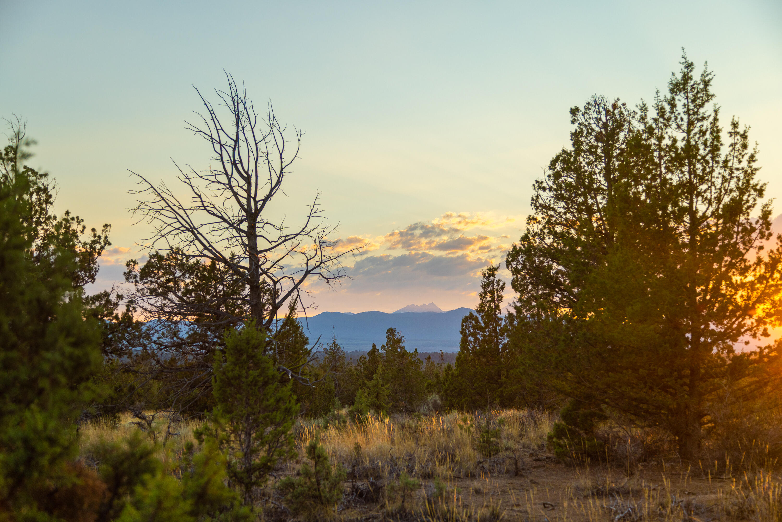 Pacific Cascade Hts - Land