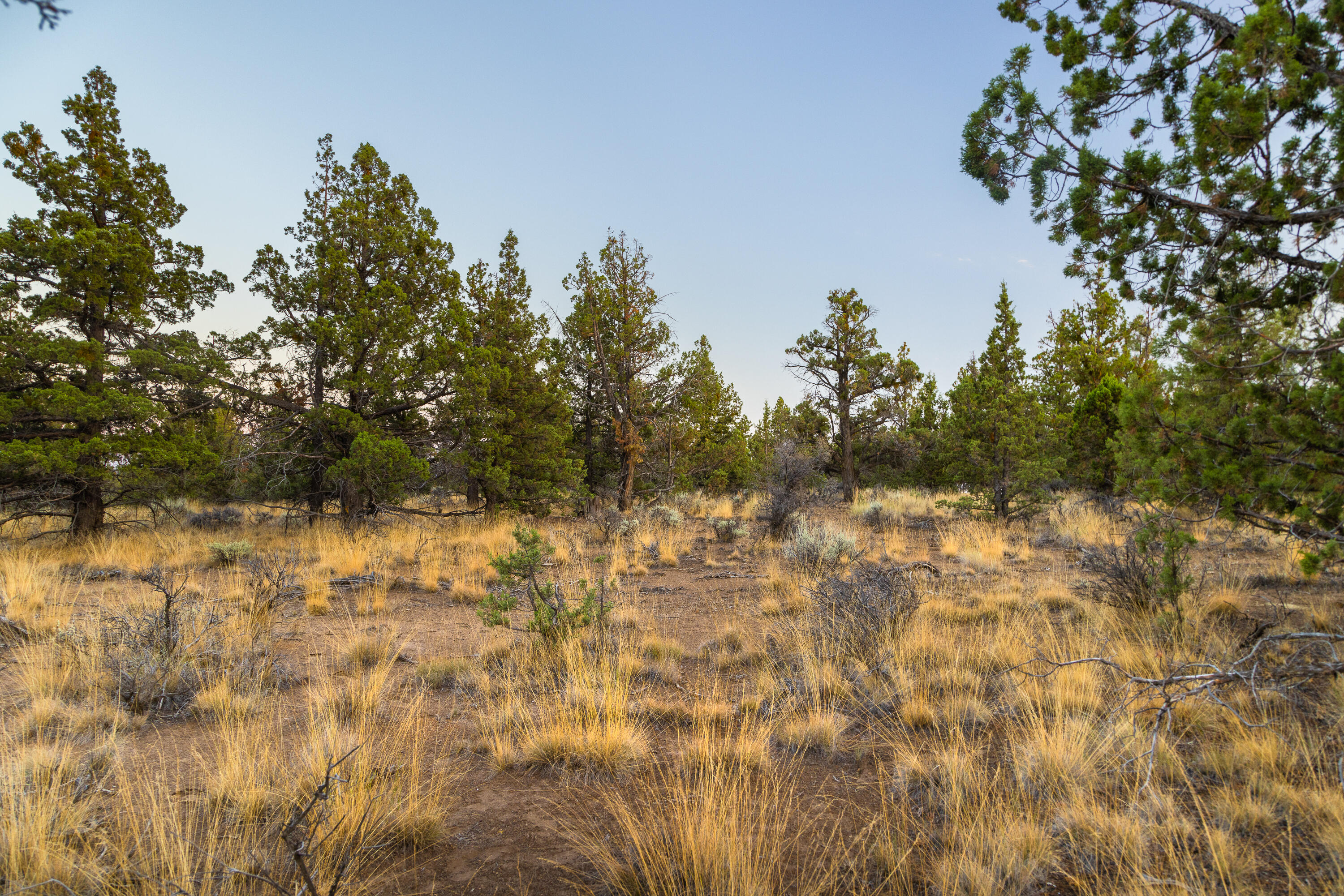 Pacific Cascade Hts - Land