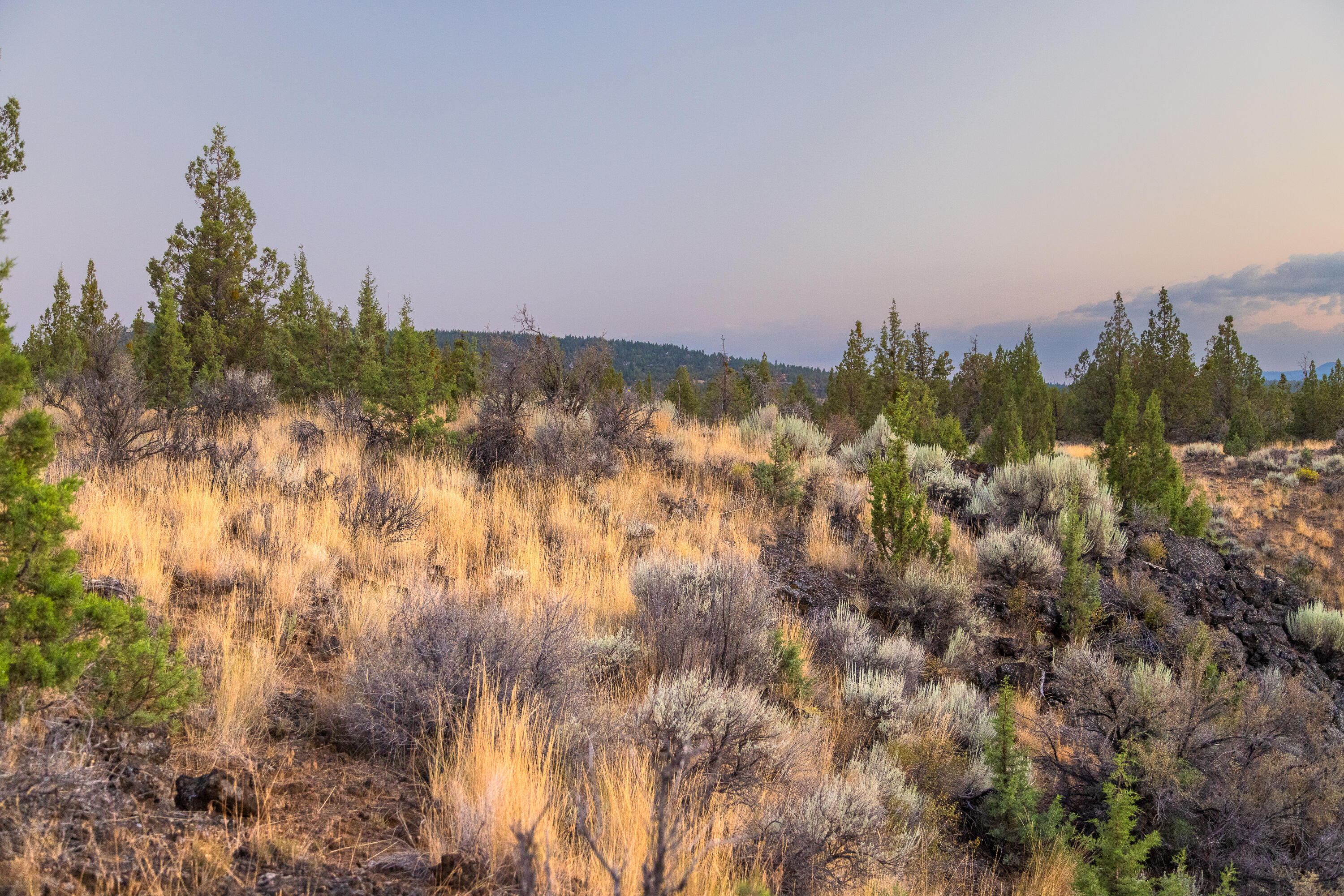 Pacific Cascade Hts - Land