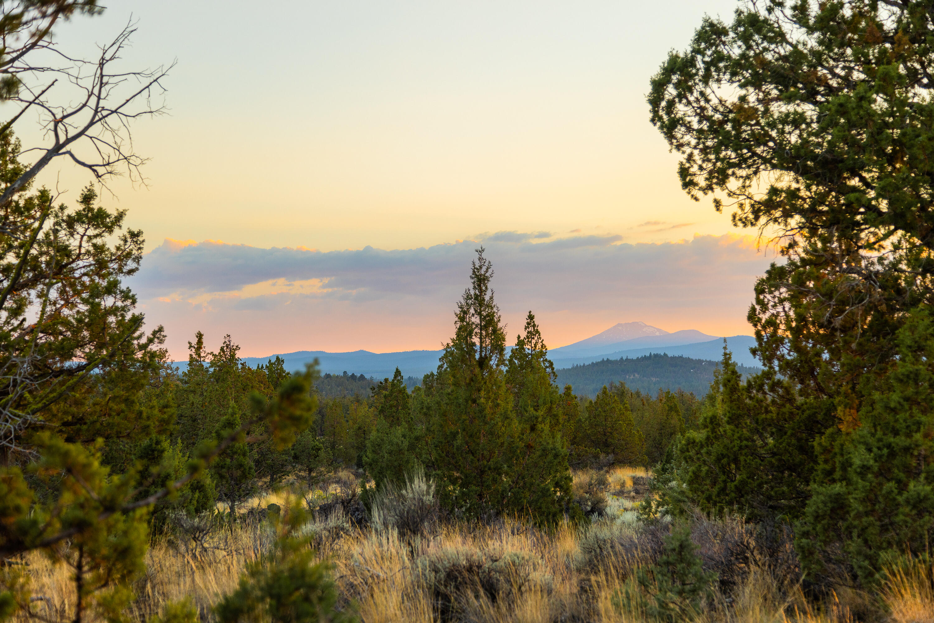 Pacific Cascade Hts - Land