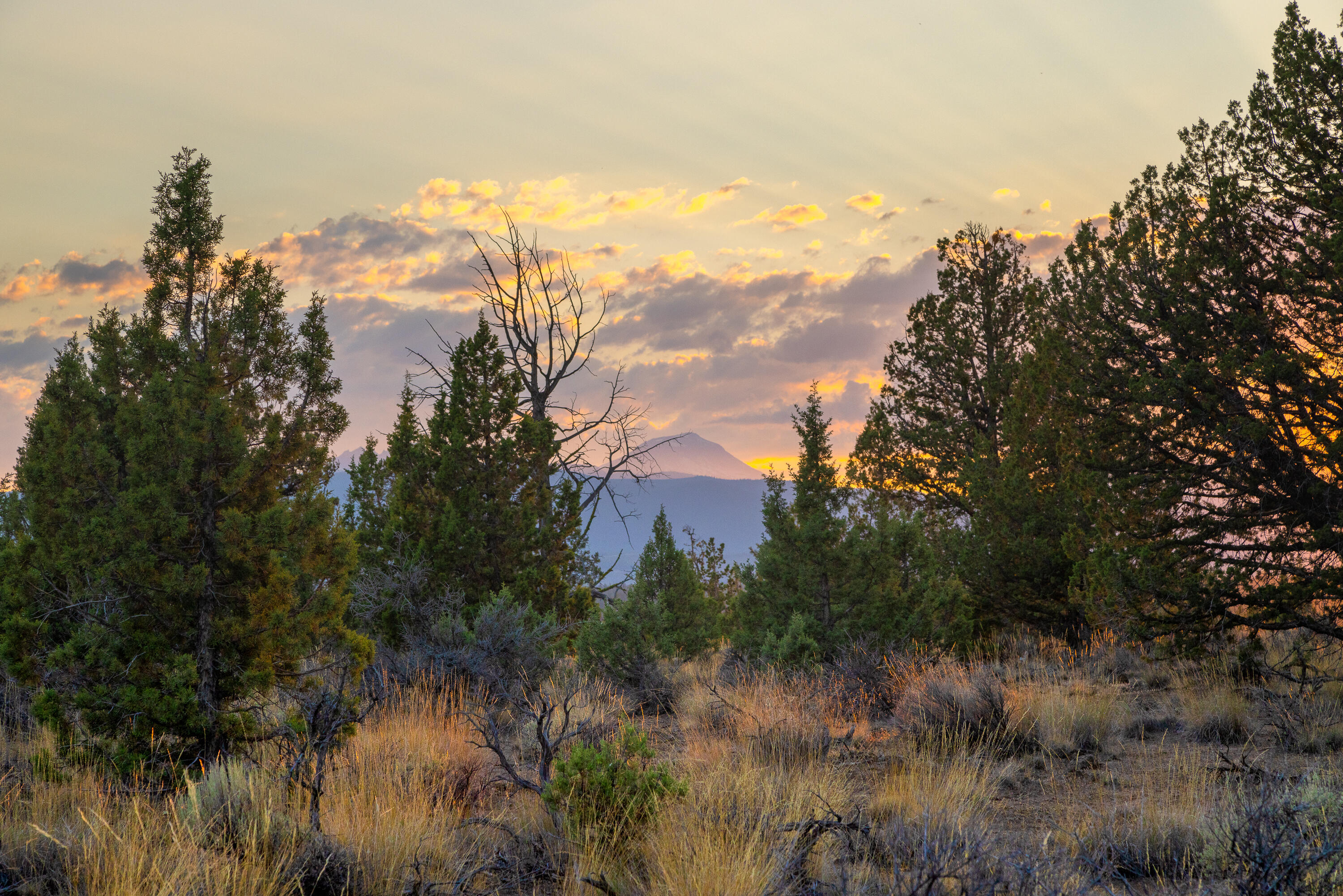 Pacific Cascade Hts - Land