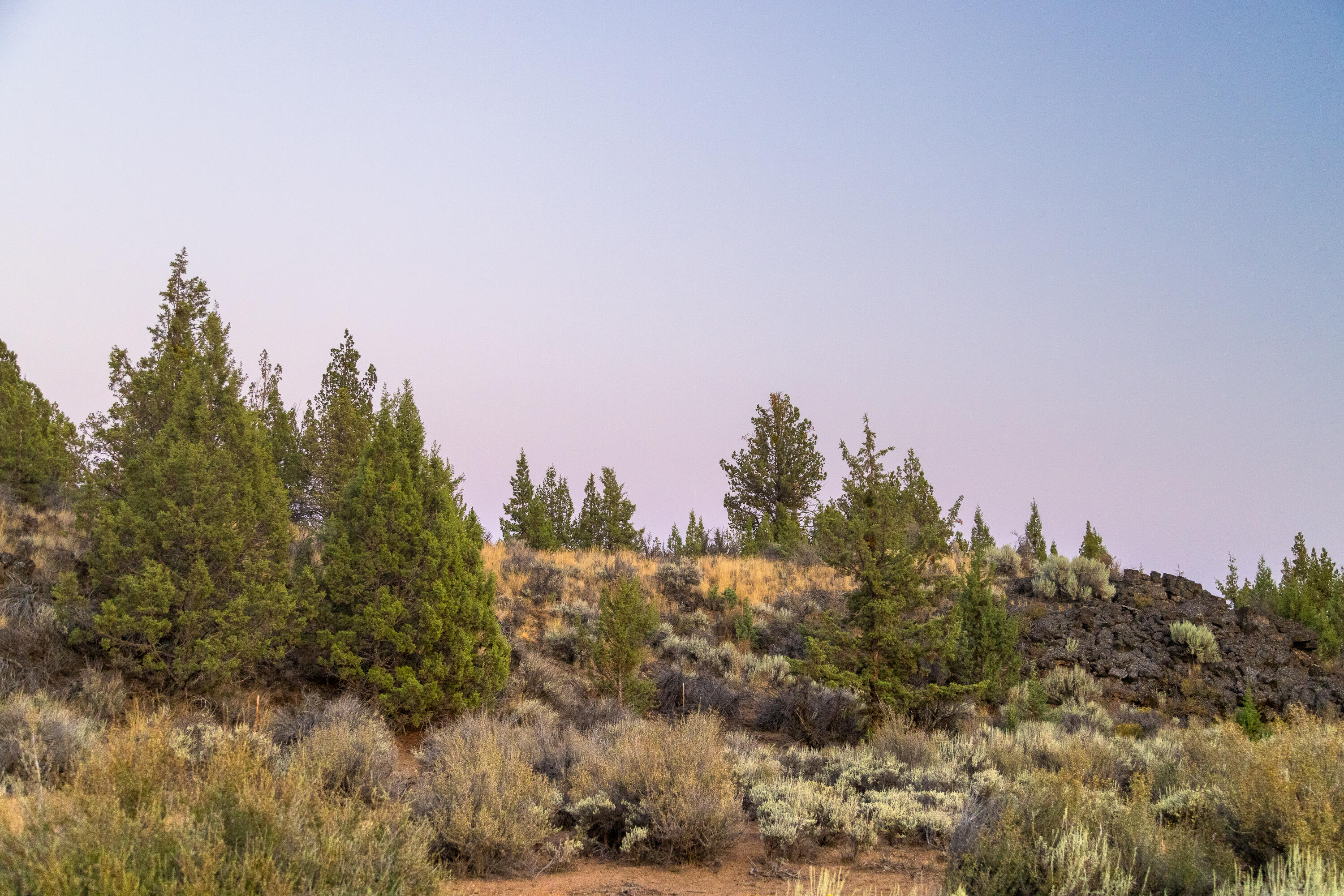 Pacific Cascade Hts - Land